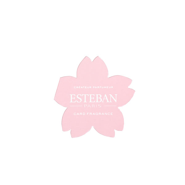 Nippon Kodo Esteban Card Fragrance Esprit de Thé 5 sheets (52151)