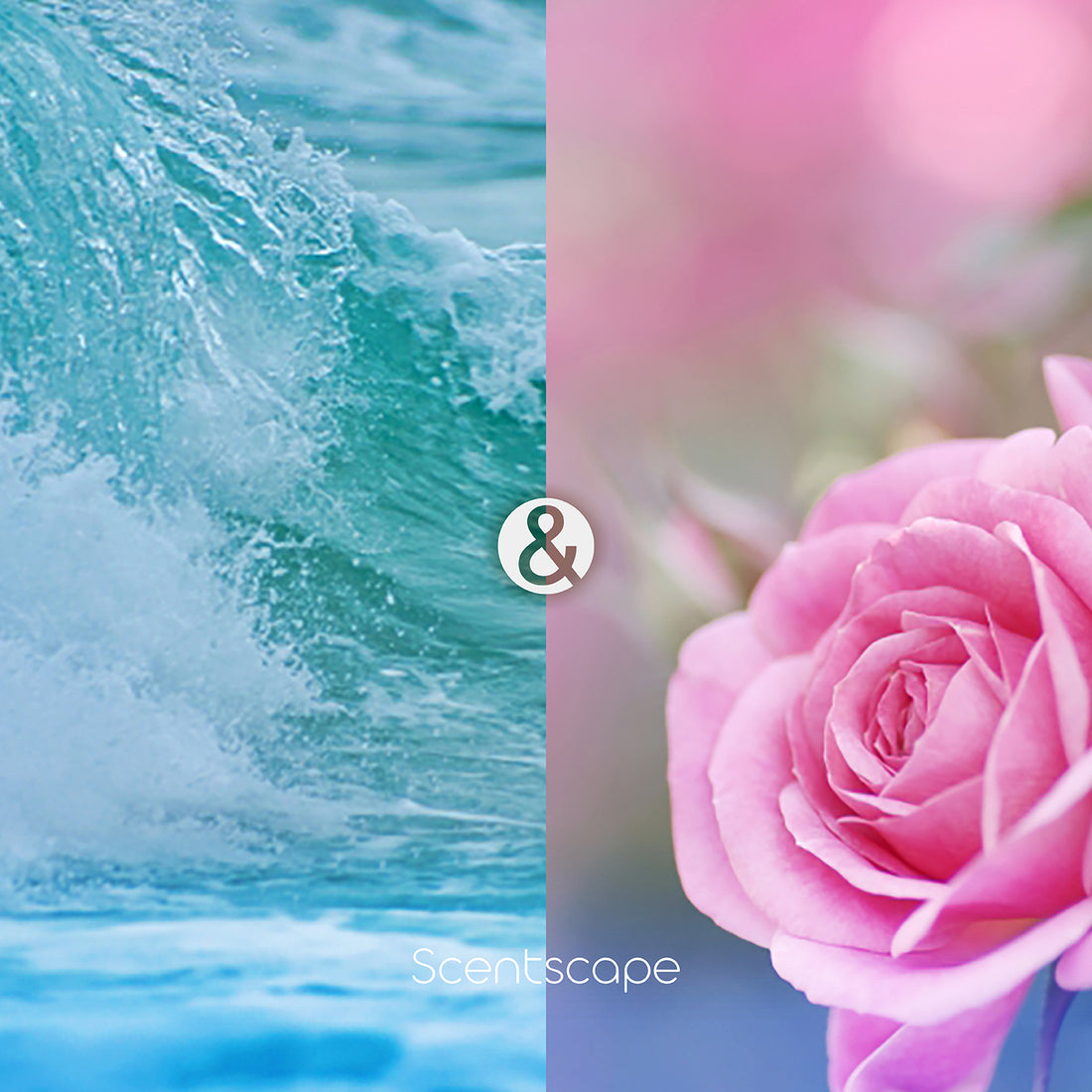 Nippon Kodo Scentscape Ocean & Rose 30 sticks (38216)