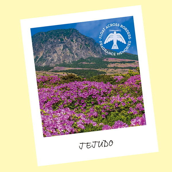 Nippon Kodo Incense Fragrance Memories JEJUDO FIELD (33331)