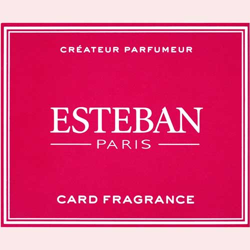 Nippon Kodo Esteban Card Fragrance Magnolia 5 sheets (52146)