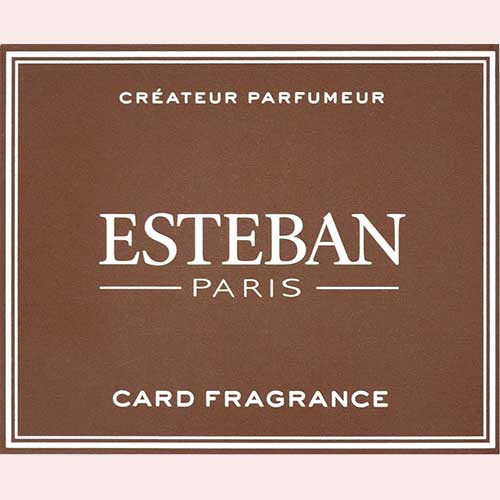 Nippon Kodo Esteban Card Fragrance Tonka 5 sheets (52148)