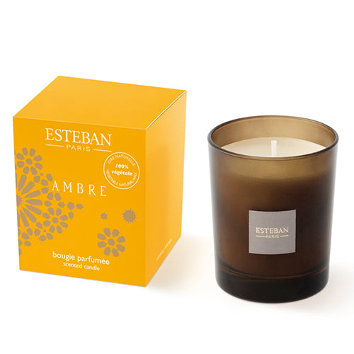 Nippon Kodo Esteban Scented Candle Amber (53570)