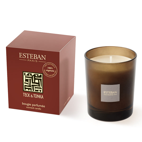 Nippon Kodo Esteban Scented Candle Teck & Tonka (54012)