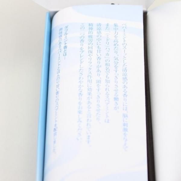 Baieido [Mint] Double Mint Incense (Low Smoke) (#450)