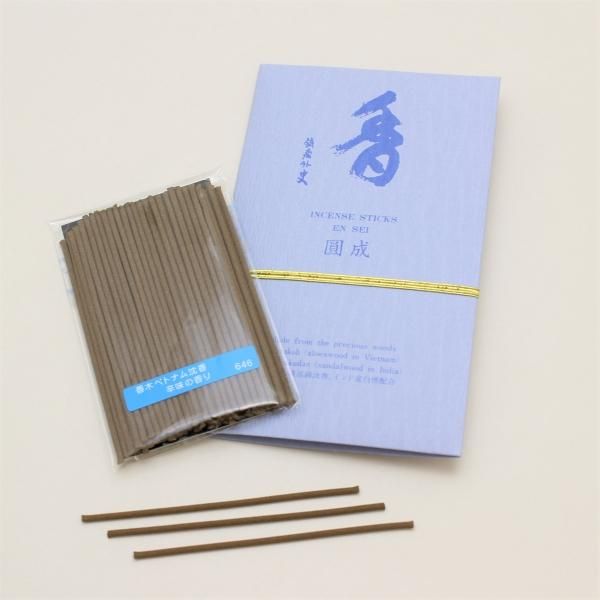 Baieido Ensei Vietnamese Agarwood Spicy Aroma 60 sticks (#646)