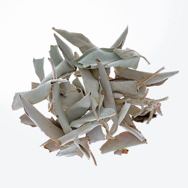 Nippon Kodo CHIE - White Sage 30 sticks (38922)