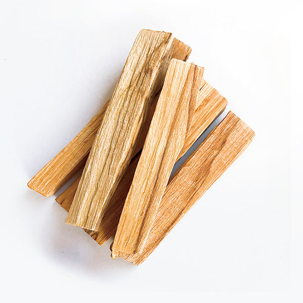 Nippon Kodo CHIE - Palo Santo Incense Powder 30g (38932)
