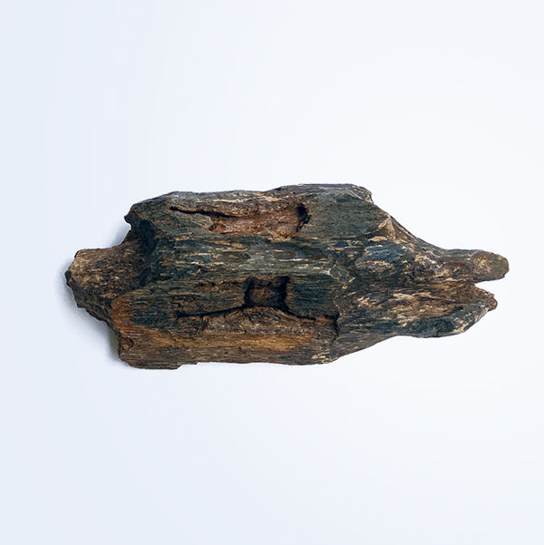 Nippon Kodo CHIE - Agarwood (Aloeswood) 30 sticks (38920)