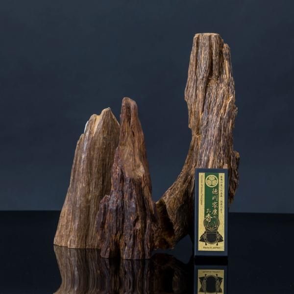 Baieido Tokugawa Ieyasu Incense 30g (#338)