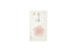 Kyukyodo Hana no Fumikoh Sakura (Cherry Blossom) (140348445)
