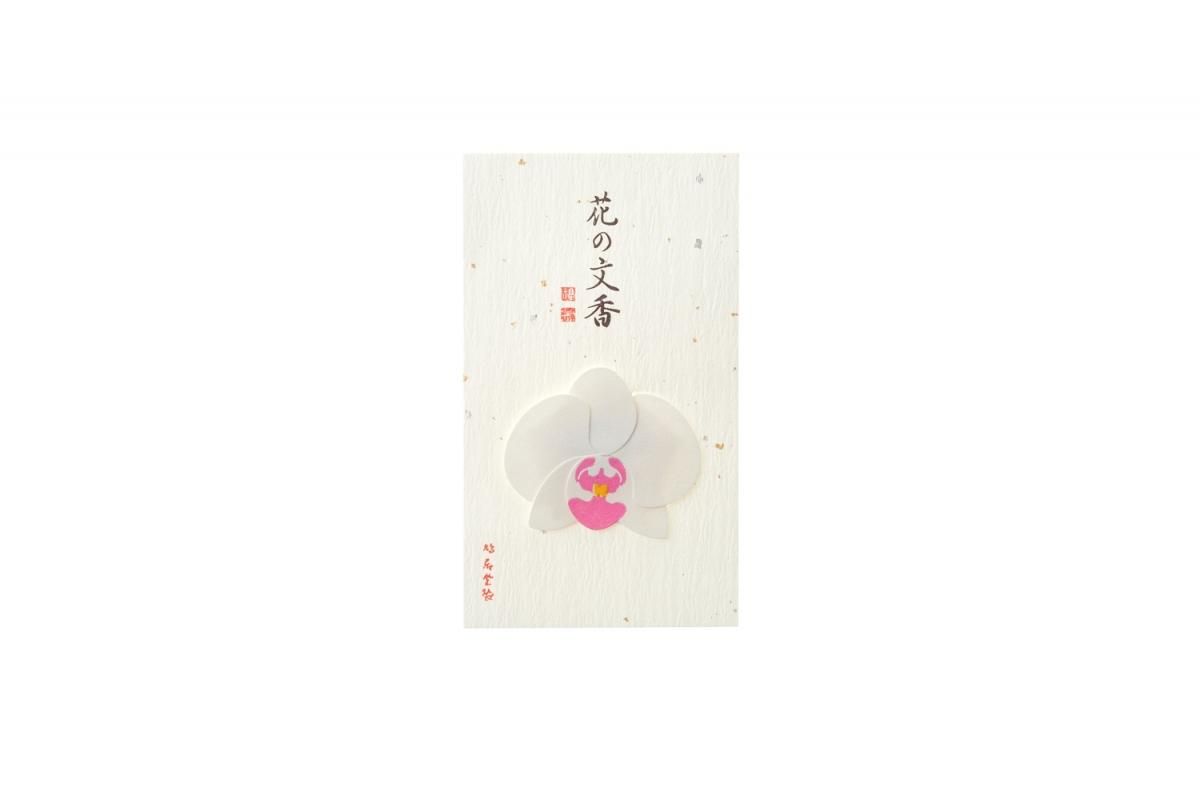 Kyukyodo Hana no Fumikoh Ran (Orchid) (140348446)