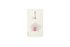 Kyukyodo Hana no Fumikoh Ran (Orchid) (140348446)