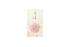 Kyukyodo Hana no Fumikoh Nadeshiko (Dianthus) (140348457)