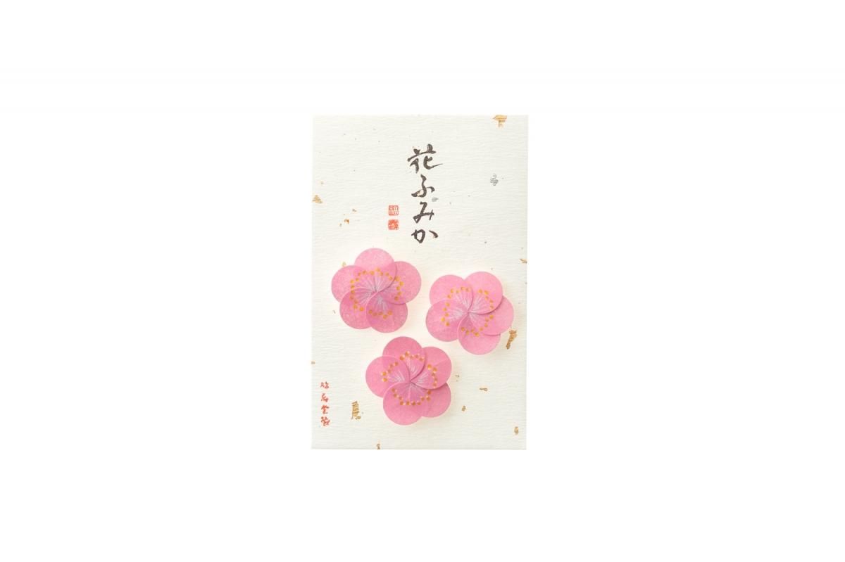 Kyukyodo Fumikoh Hana Fumika Ume (Plum Blossom) (140348466)