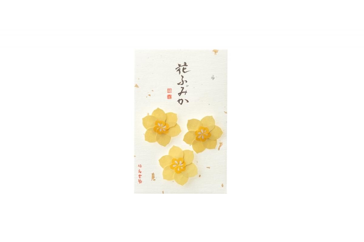 Kyukyodo Fumikoh Hana Fumika Suisen (Narcissus) (140348467)