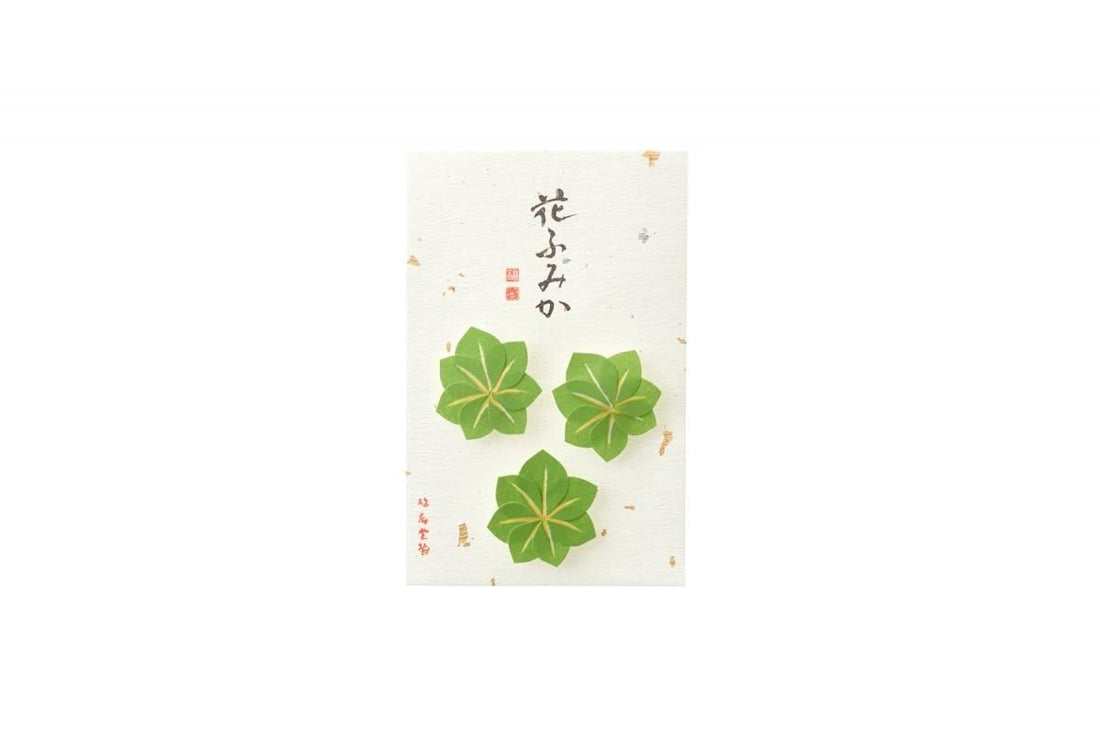 Kyukyodo Fumikoh Hana Fumika Ao Momiji (Green Maple) (140348469)