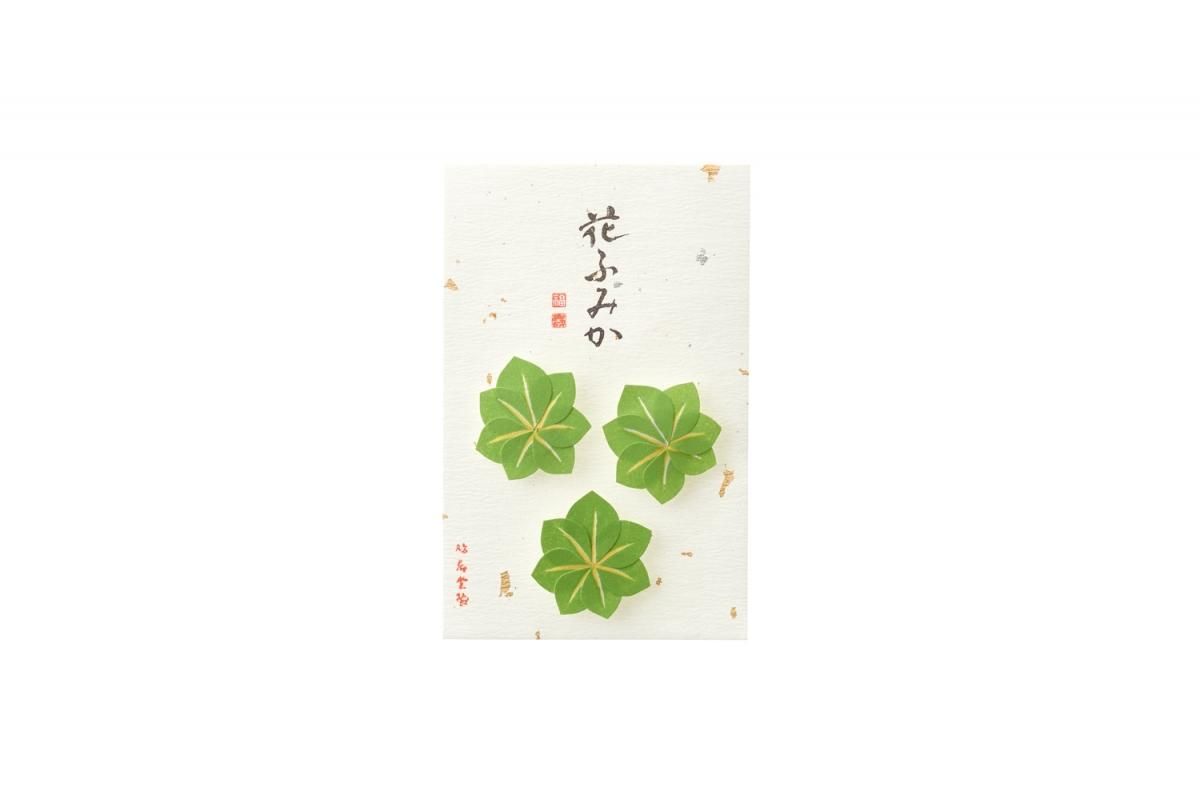 Kyukyodo Fumikoh Hana Fumika Ao Momiji (Green Maple) (140348469)