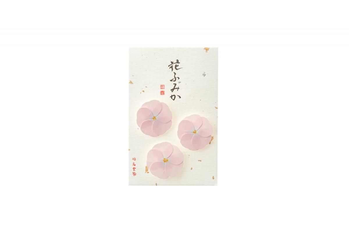 Kyukyodo Fumikoh Hana Fumika Asagao (Morning Glory) (140348470)