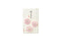 Kyukyodo Fumikoh Hana Fumika Asagao (Morning Glory) (140348470)