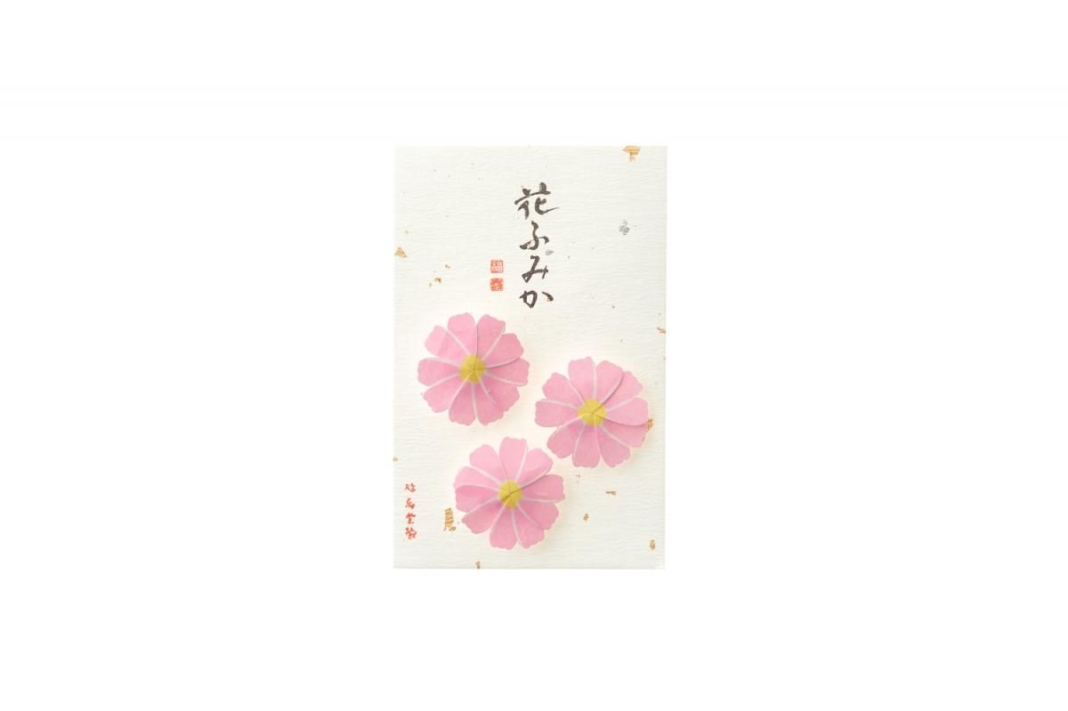 Kyukyodo Fumikoh Hana Fumika Kosumosu (Cosmos) (140348472)