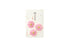 Kyukyodo Fumikoh Hana Fumika Kosumosu (Cosmos) (140348472)