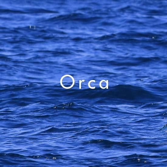 Shunkohdo Orca Aromatic Marine & Herbal Blend (7750, 7780)