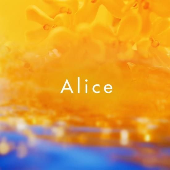 Shunkohdo Alice Osmanthus Bloom (7730, 7732)
