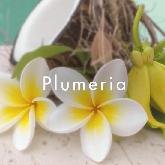 Shunkohdo Plumeria Gardenia-Style Tropical Floral (7754, 7784)