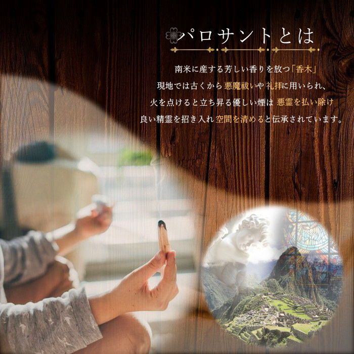 Koyasan Daishido Palo Santo Mini Stick 21 sticks Plastic Case (65001)