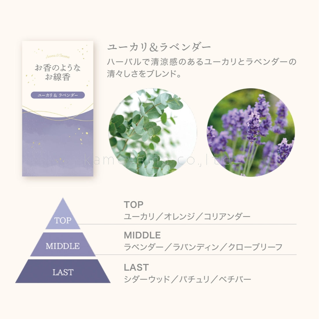 Kameyama Perfume-Like Incense Eucalyptus & Lavender 50g (23020006)