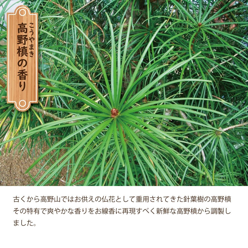 Koyasan Daishido Koya Maki (Umbrella Pine) 75g (39900)