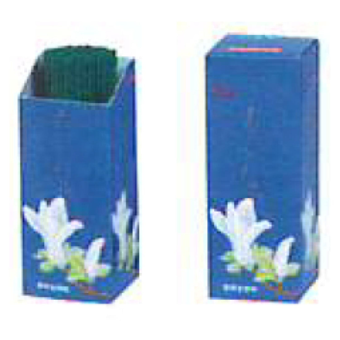 Keigado Mokuren (Magnolia) in Cylinder Box (606)