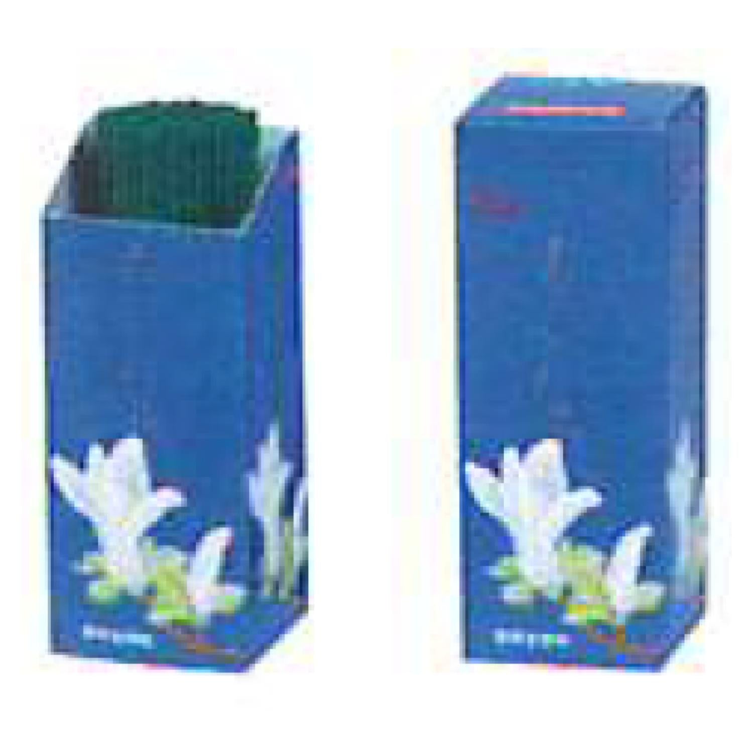 Keigado Mokuren (Magnolia) in Cylinder Box (606)