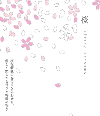 Yamadamatsu Wa no Kaori Sakura 50 sticks (64177)