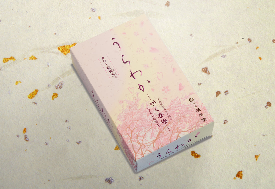 Seijudo Urawaka Sakura no Ka (Cherry Blossom) (36202, 36001)