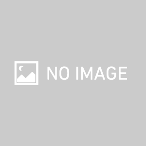 Seijudo Gokuhin Kyara Enju 8 sticks with Cylindrical Paper Box (1AP)