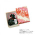 Kousaido Sachet Kinran (Large) Yoikagari in Yuzen Paper Box (NIP-16)
