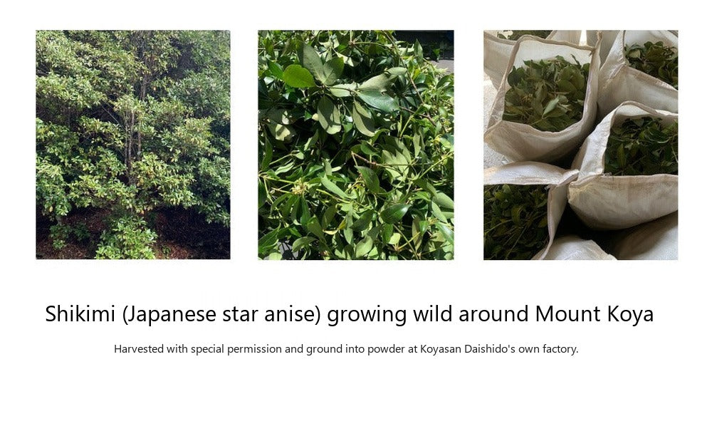 Koyasan Daishido Shikimi Koya Reiko (Japanese star anise) (39990, 39980)